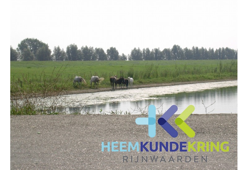 2003-05-08 Herwen - Oude Waal Coll. HKR (8)